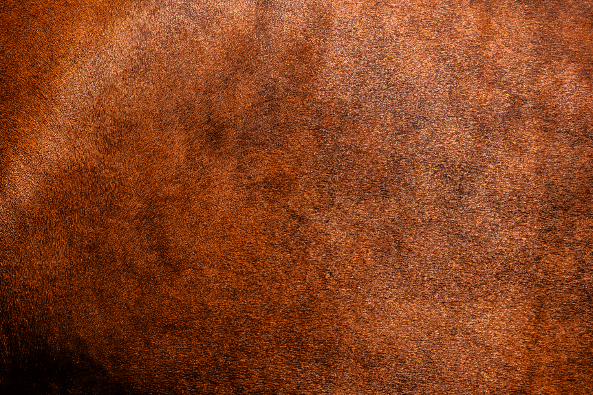 Leathery texture